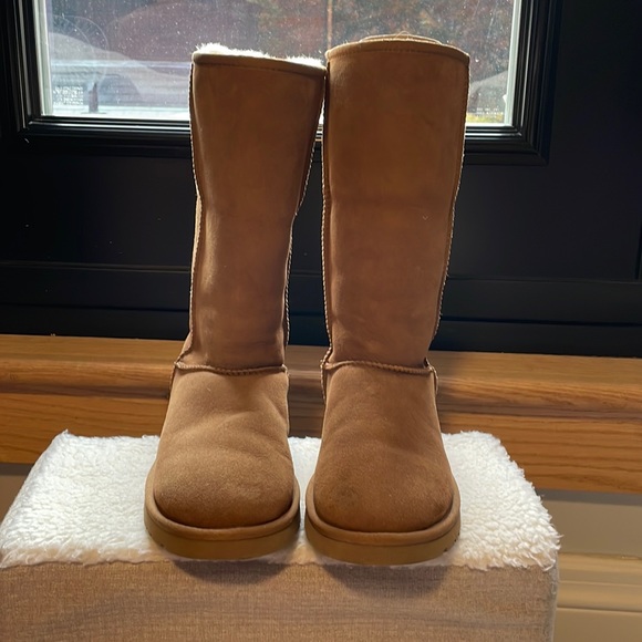 UGG Shoes - Ugg Classic Tall Boot